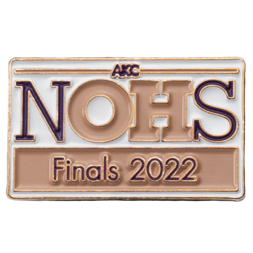 Soft Enamel - Lapel Pins