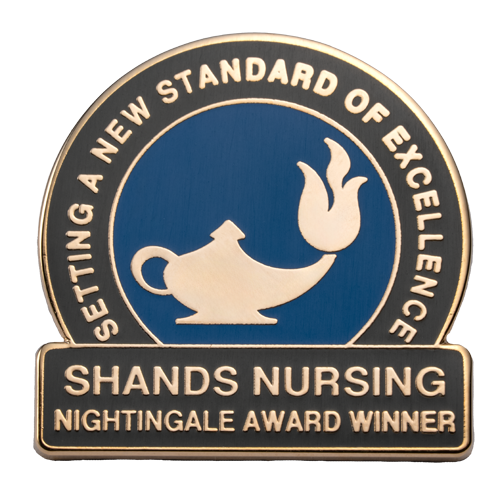 Cloisonné - Lapel Pins