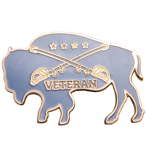 Cloisonné - Lapel Pins